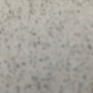 Meet your Posher, Winston